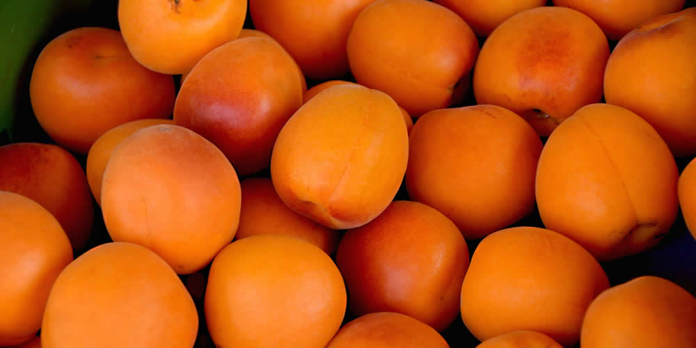 Prodotti naturali, salumi certificati, salumi BIO, salumi biologici,verdura a Km 0, frutta a Km 0 Prodotti naturali, salumi certificati, salumi BIO, salumi biologici,verdura a Km 0, frutta a Km 0