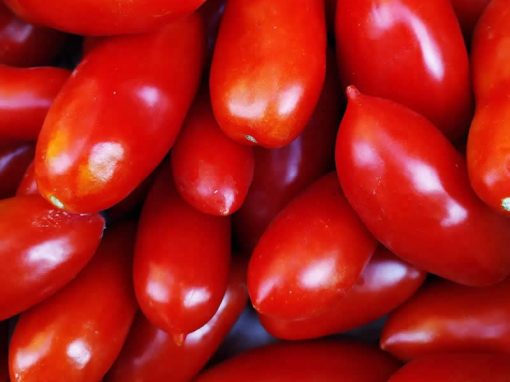 Verdura biologica a Cremona | La Malintesa